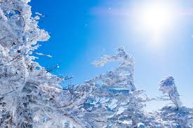 「雪が少ない新潟市」が今、新築アパート投資の穴場である理由とは？