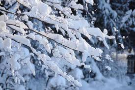 最新融雪×高断熱で冬を制す！2026年に選ばれる新潟市の「次世代型アパート」戦略